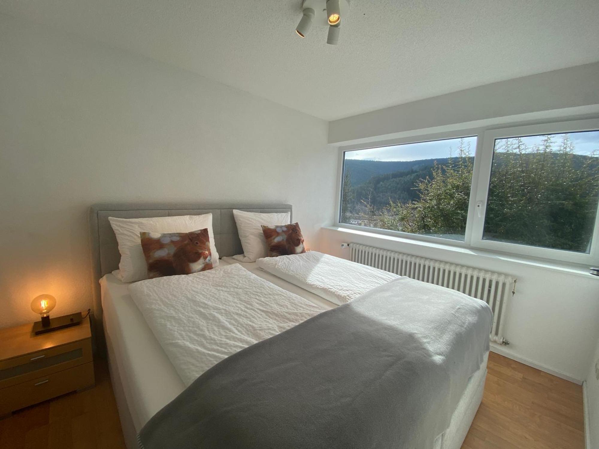 Apartment Hochschwarzwald *