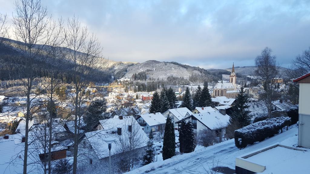 Apartment Hochschwarzwald