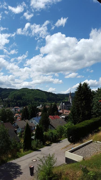 Apartment Hochschwarzwald Titisee-Neustadt